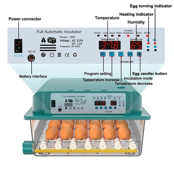 Інкубатор автоматичний для яєць 36 шт TDUAOLGX JL036 0307 фото