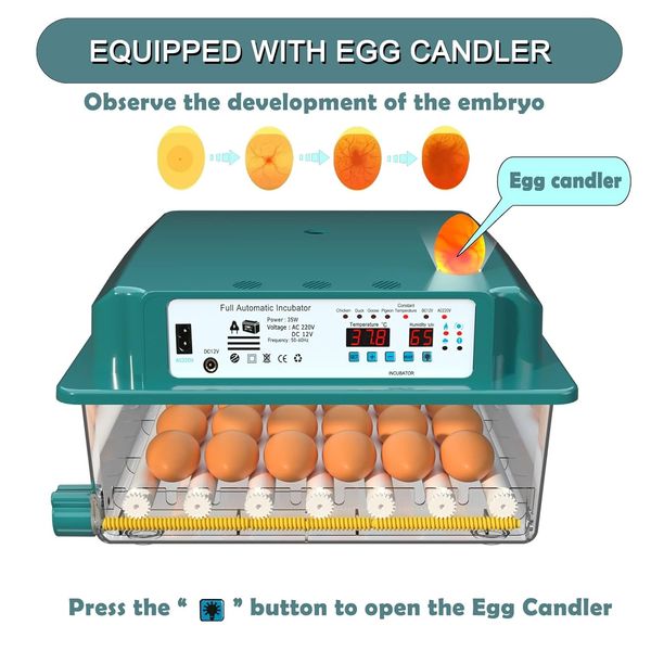Інкубатор автоматичний для яєць 36 шт TDUAOLGX JL036 0307 фото