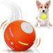 Іграшка м’яч для собак з активацією руху з USB зарядкою 1440 фото 1