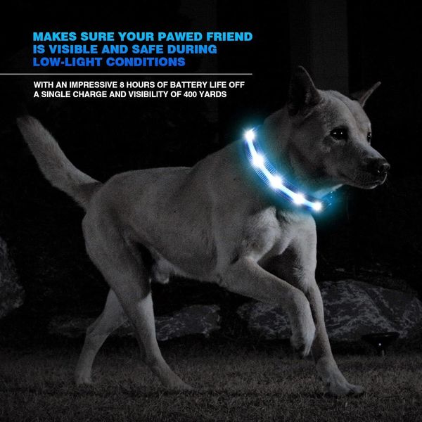 Светодиодный ошейник для собак M (40-50см) с Li-On батареей, синий 0685 фото