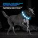 Светодиодный ошейник для собак M (40-50см) с Li-On батареей, синий 0685 фото 4