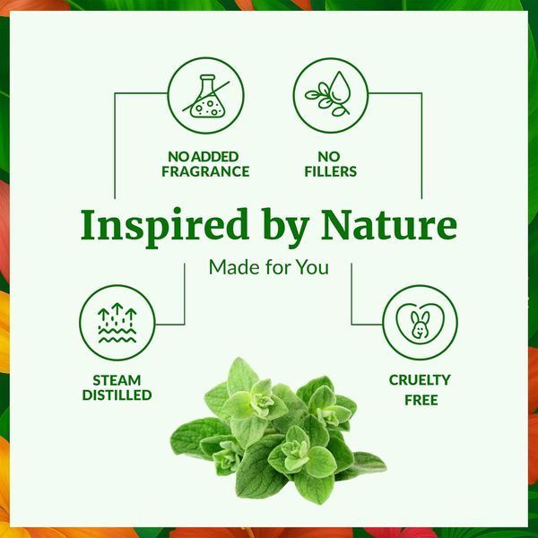 Ефірна олія орегано SVA Organics 118 мл (100% натуральна, з піпеткою) T3281 фото