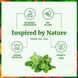 Ефірна олія орегано SVA Organics 118 мл (100% натуральна, з піпеткою) T3281 фото 3