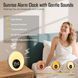 Световой будильник-ночник AUYLE BL20 Sunrise с белым шумом White M3193 фото 4