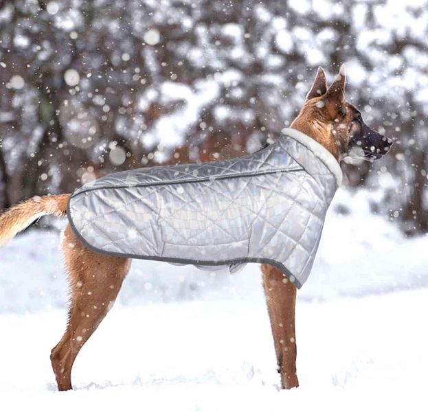 Зимова куртка для собак Inbathgic M з голографічним дизайном Rainbow Dog Jumper, срібна 0908 фото