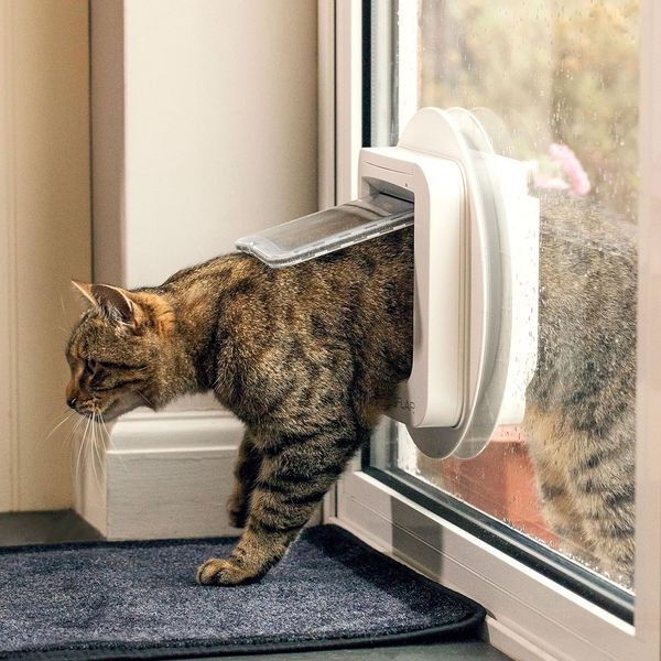 Дверцята для котів Sure Petcare SureFlap з мікрочіпом T2397 фото