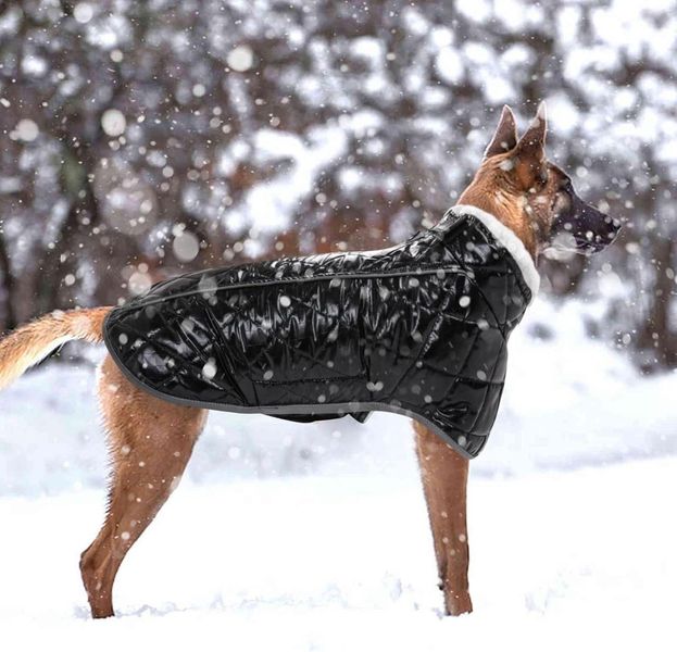 Зимова куртка для собак Inbathgic M з голографічним дизайном Rainbow Dog Jumper, чорна 0908-1 фото