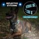 Нашийник для собак 37,5-43 см HAPPY HACHI Martingale світловідбиваючий, із застібкою безпеки та кільцем ID, синій 0910 фото 7