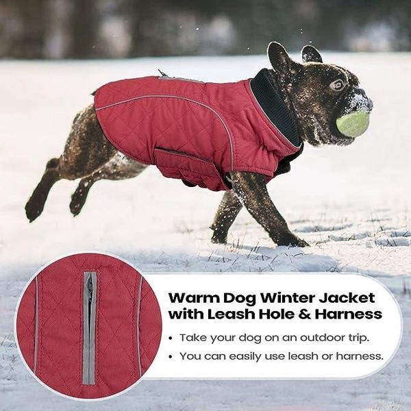 Средняя зимняя куртка для собак bepetmia размер S (бордовый) 0659 фото