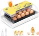 Автоматичний ікубатор для яєць 15-20 курячих яєць Chikers 0452 фото 1