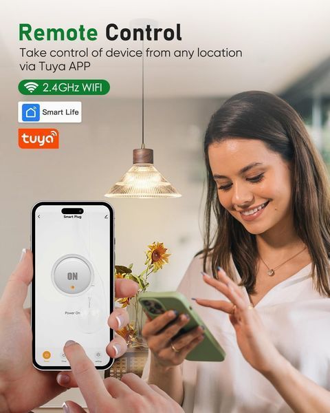 Розумні розетки з голосовим управлінням Tuya 2,4 ГГц WiFi GreenSun  T2111 фото