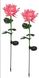 Садові квіткові ліхтарі Uuffoo 2 шт (роза хризантема, рожева) 0571 фото 2