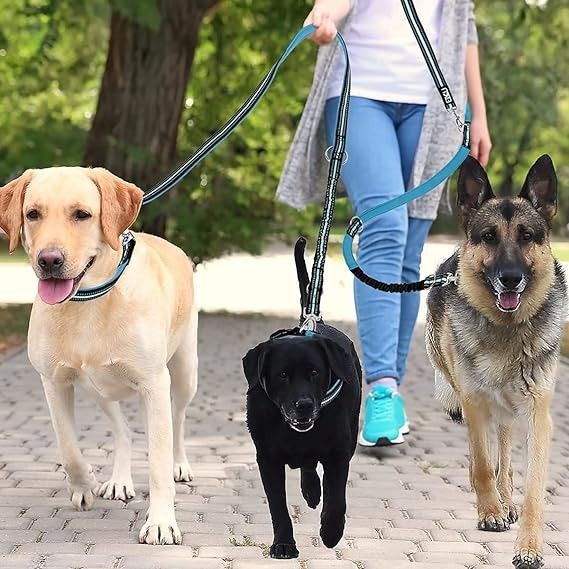 Поясний повідець hands free для собак з нашийником ETACCU для бігу зі світловідбиваючими швами 0547 фото