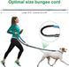 Поясник hands free для собак с ошейником ETACCU для бега со светоотражающими швами 0547 фото 2